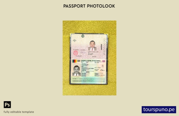 listo para imprimir la plantilla de presentación fotográfica del pasaporte de Ca